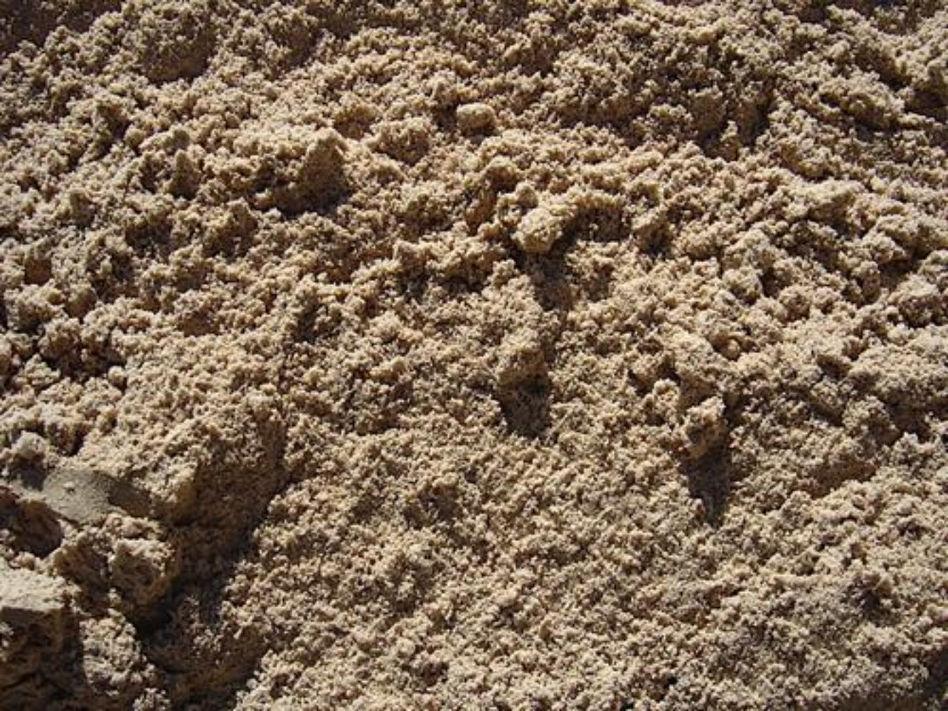 Nepean Sand